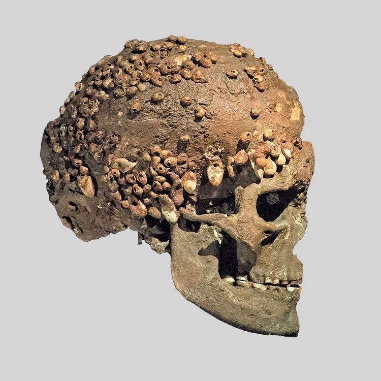 Crani de la Dama dau Cavilhon.