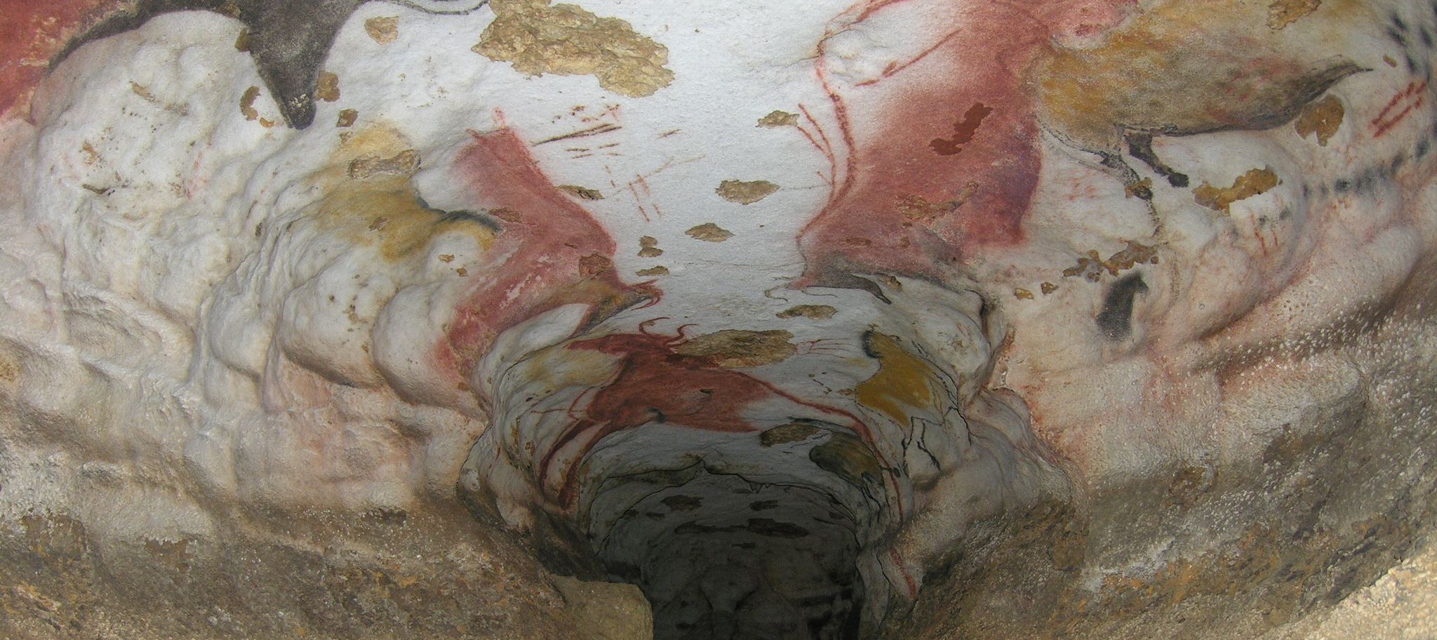 Auròcs femèus e frisas de chivaus