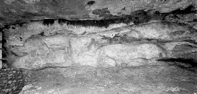 Chivaus dins l'abric dau Cap Blanc