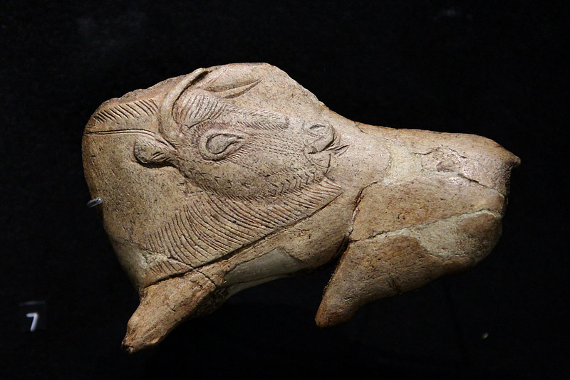 Lo «bison se lecant» de la Magdalena