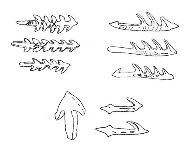 Arpons e mosclaus trobats au Closel