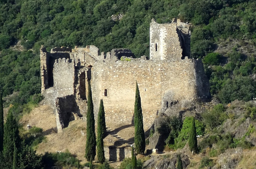 Onte son passadas lei traças dei&nbsp;catars?