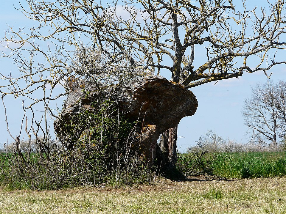 Lo dolmen de Pèira Nègra