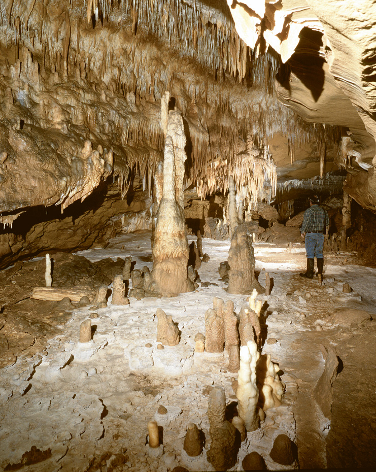 oncrencions dins la bauma de Cuçac