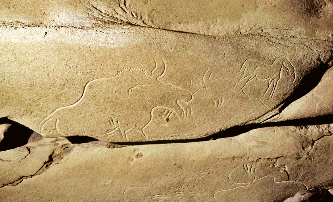 Bison e chivaus gravats dins la auma de Cuçac