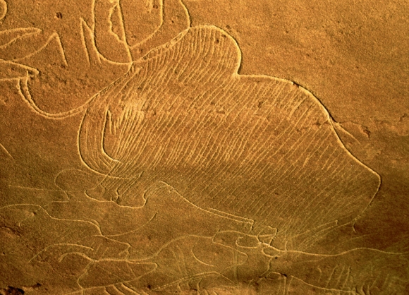 Mamot gravat a Cuçac