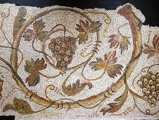 La vinha e l&rsquo;òme: lei  leiçons de l&rsquo;ADN&nbsp;ancian